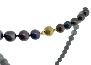 Essential Tahitian Pearl Necklace CULTURE TAHITIAN 16